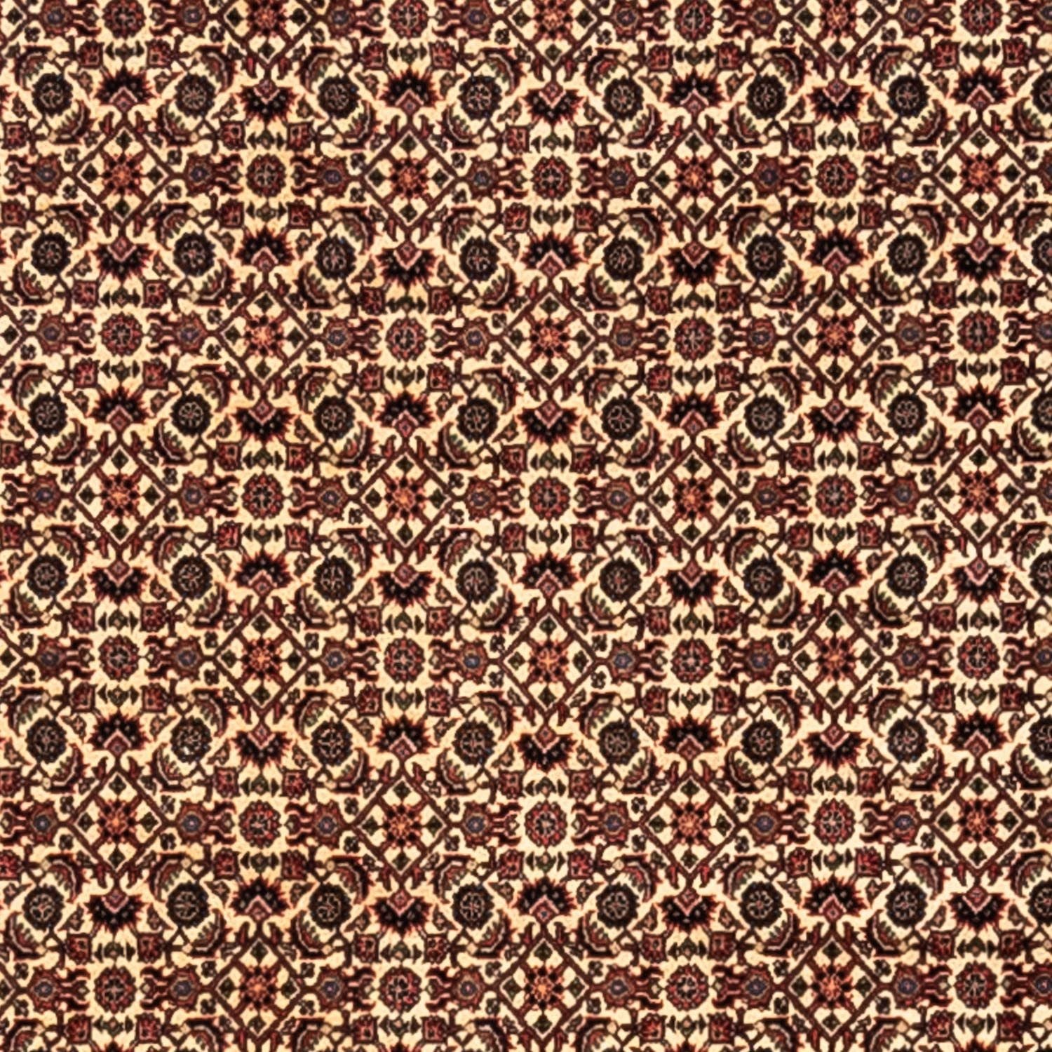 Tapis persan - Bidjar - 302 x 208 cm - beige