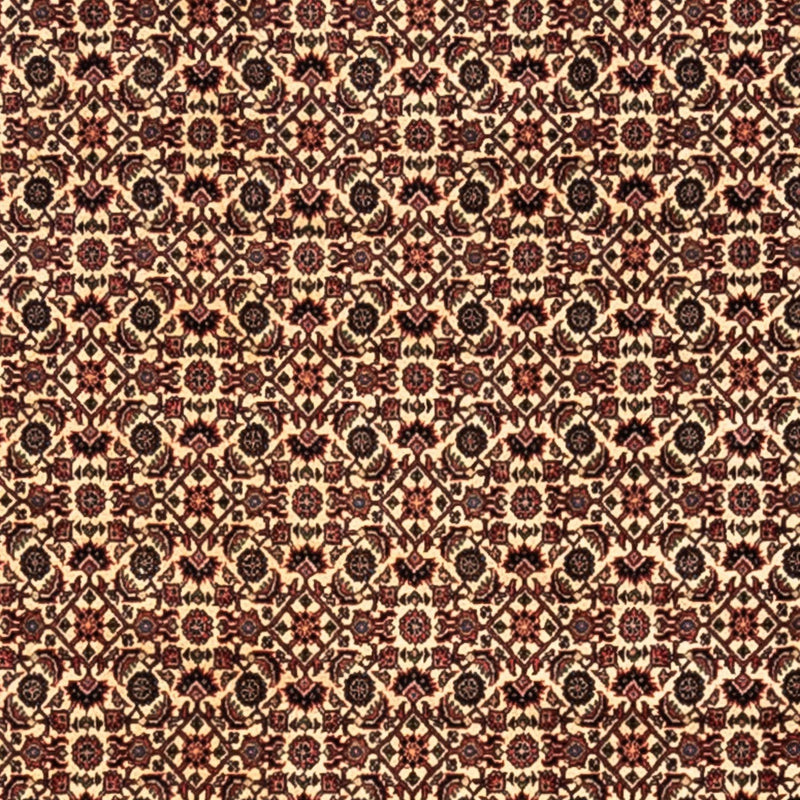 Tapis persan - Bidjar - 302 x 208 cm - beige