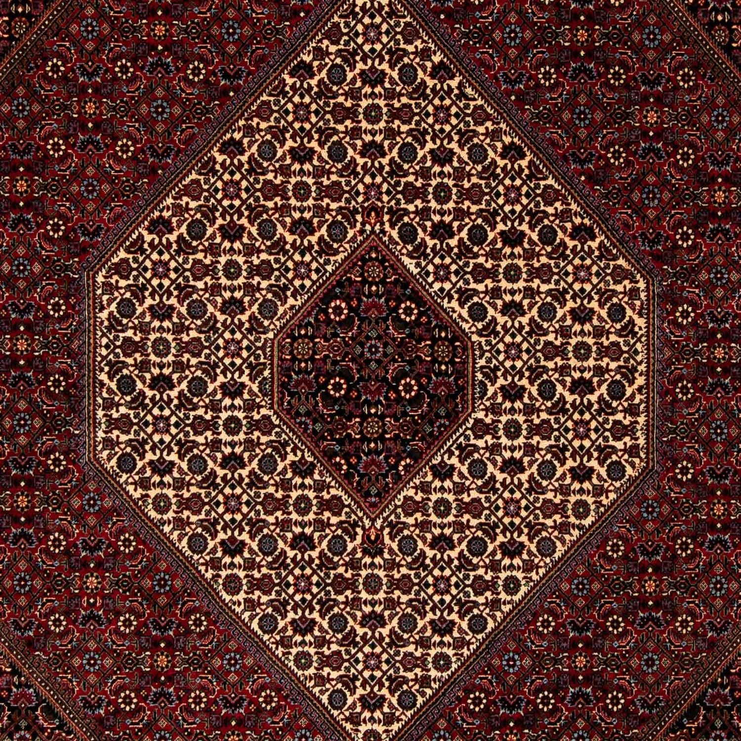 Perserteppich - Bidjar 263 x 204 cm