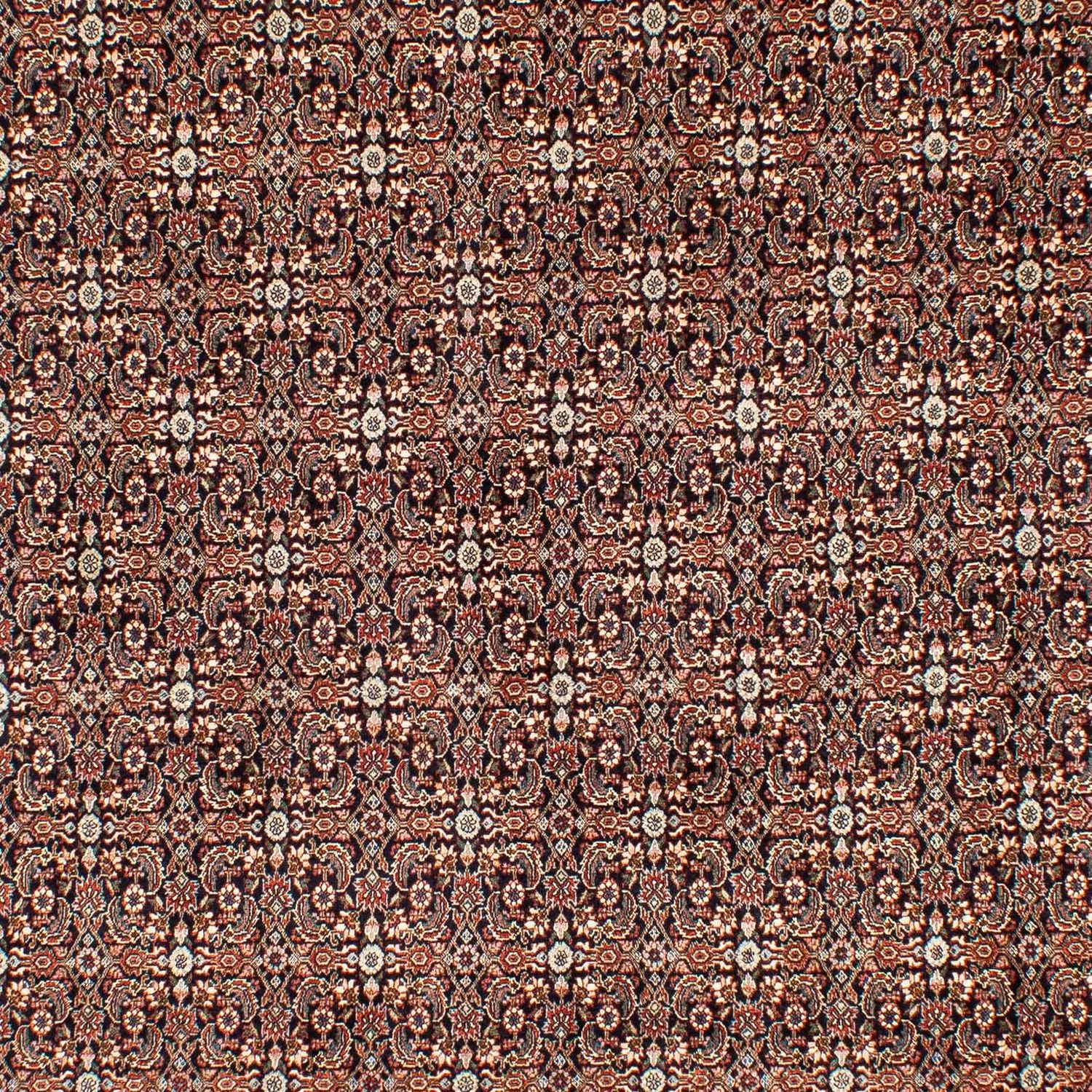 Tapis persan - Bidjar - 300 x 204 cm - multicolore