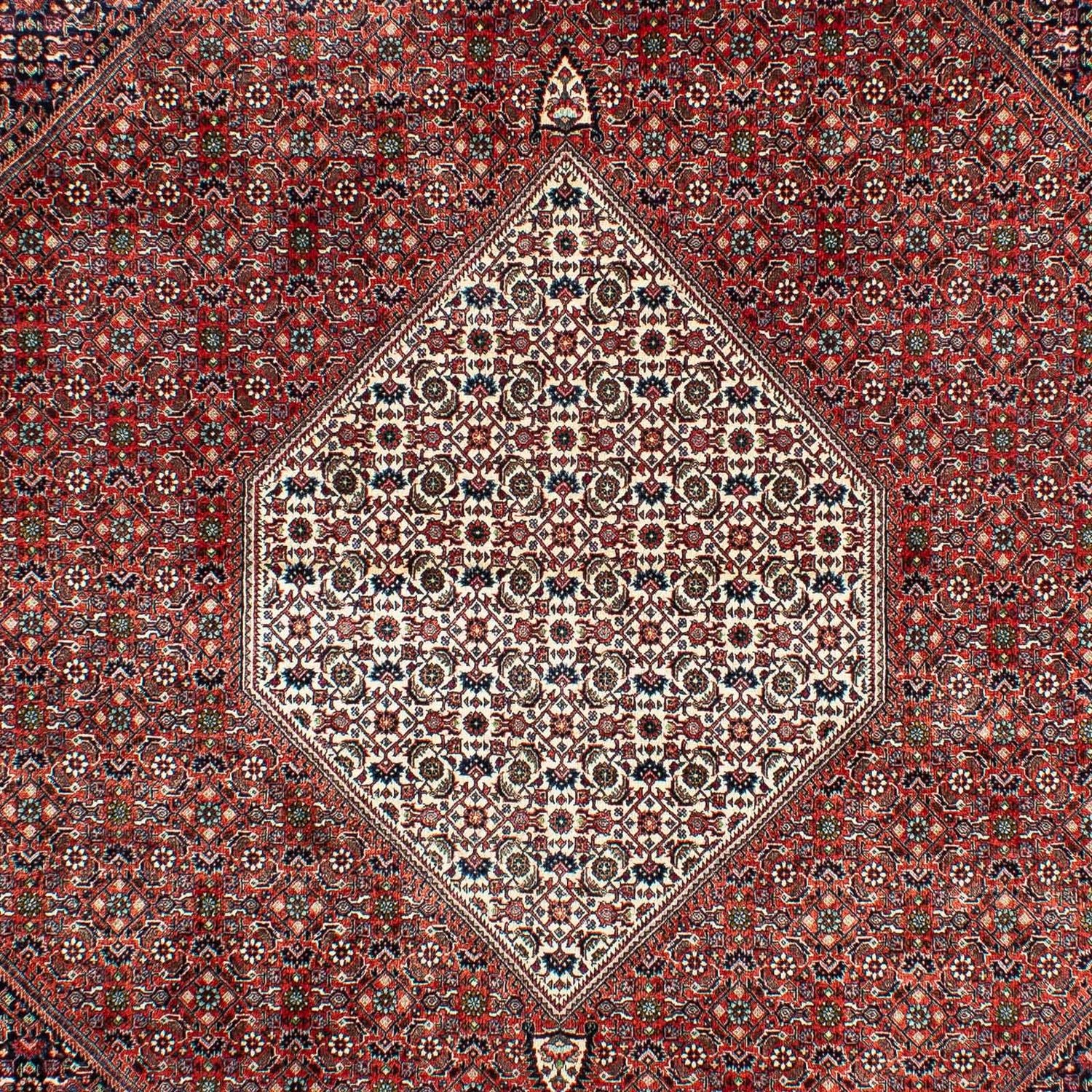 Tapis persan - Bidjar - 301 x 208 cm - rouille