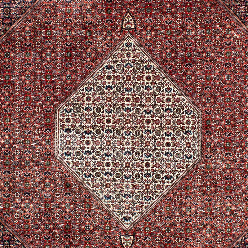 Tapis persan - Bidjar - 301 x 208 cm - rouille