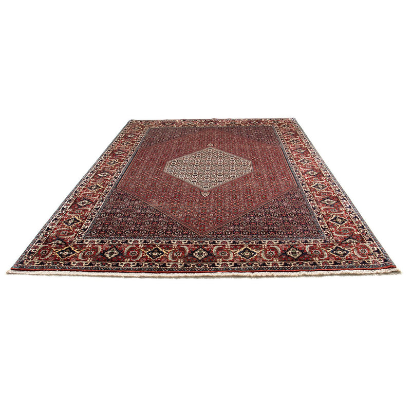 Tapis persan - Bidjar - 301 x 208 cm - rouille