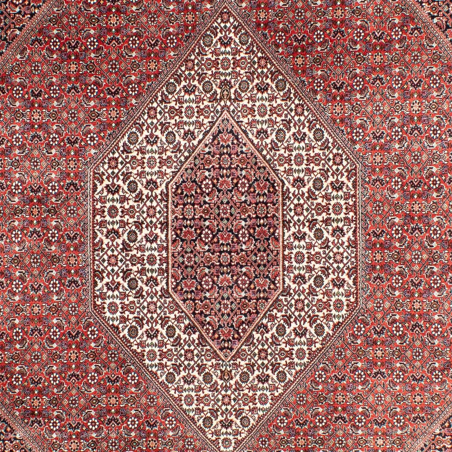 Tapis persan - Bidjar - 303 x 203 cm - rouge clair