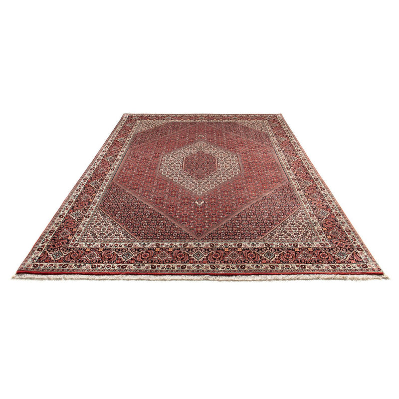 Tapis persan - Bidjar - 303 x 203 cm - rouge clair