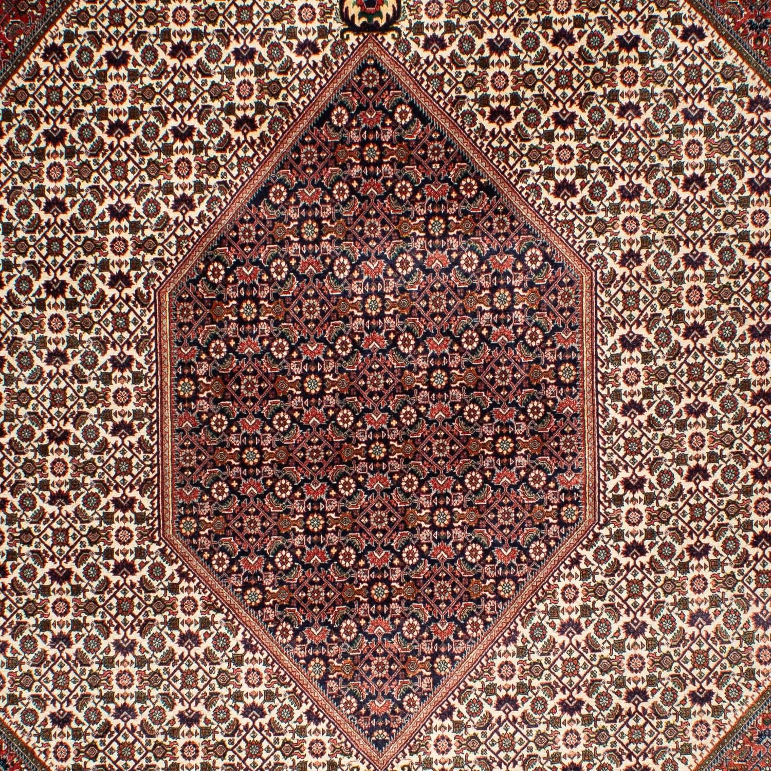 Tapis persan - Bidjar - 311 x 208 cm - beige