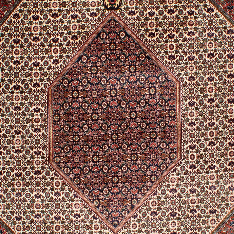 Tapis persan - Bidjar - 311 x 208 cm - beige