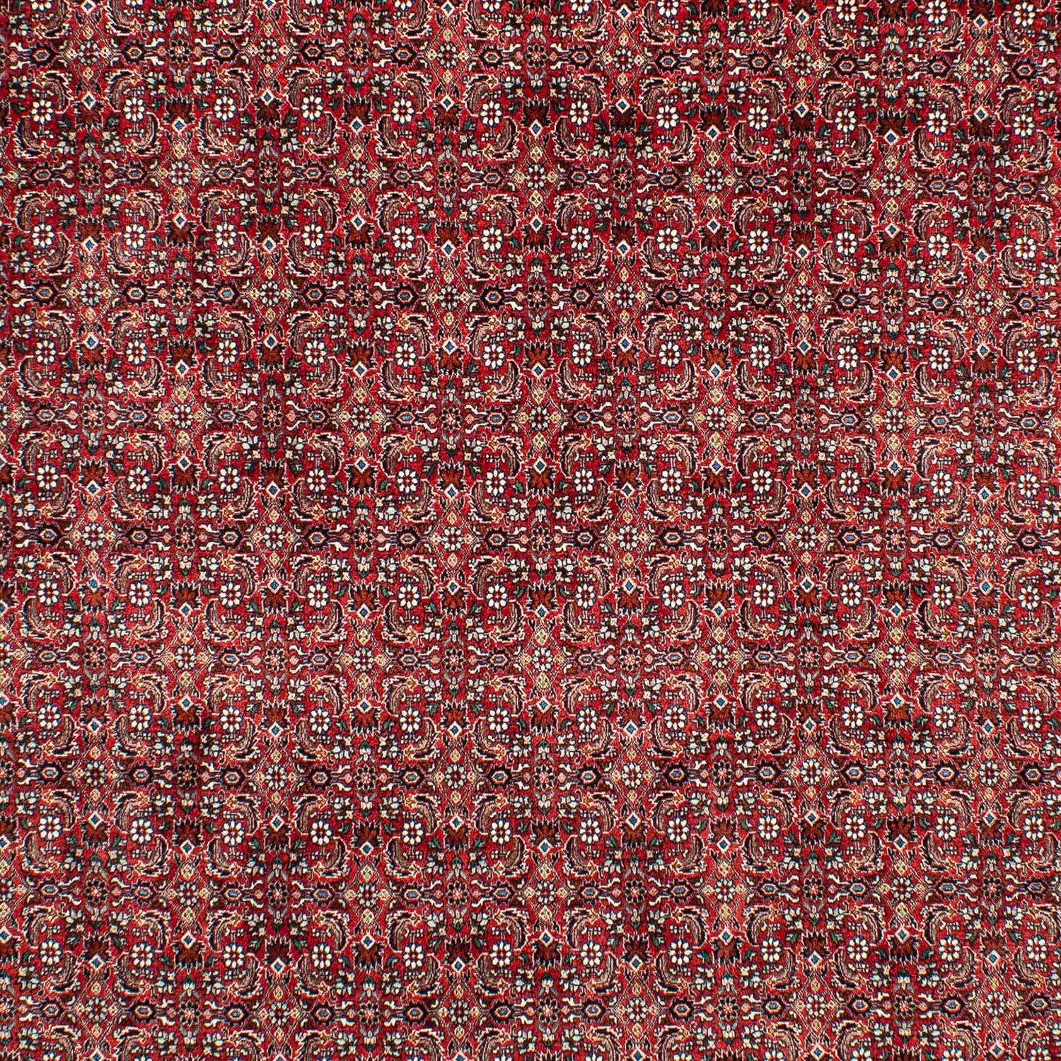 Tapis persan - Bidjar - 309 x 209 cm - rouge foncé
