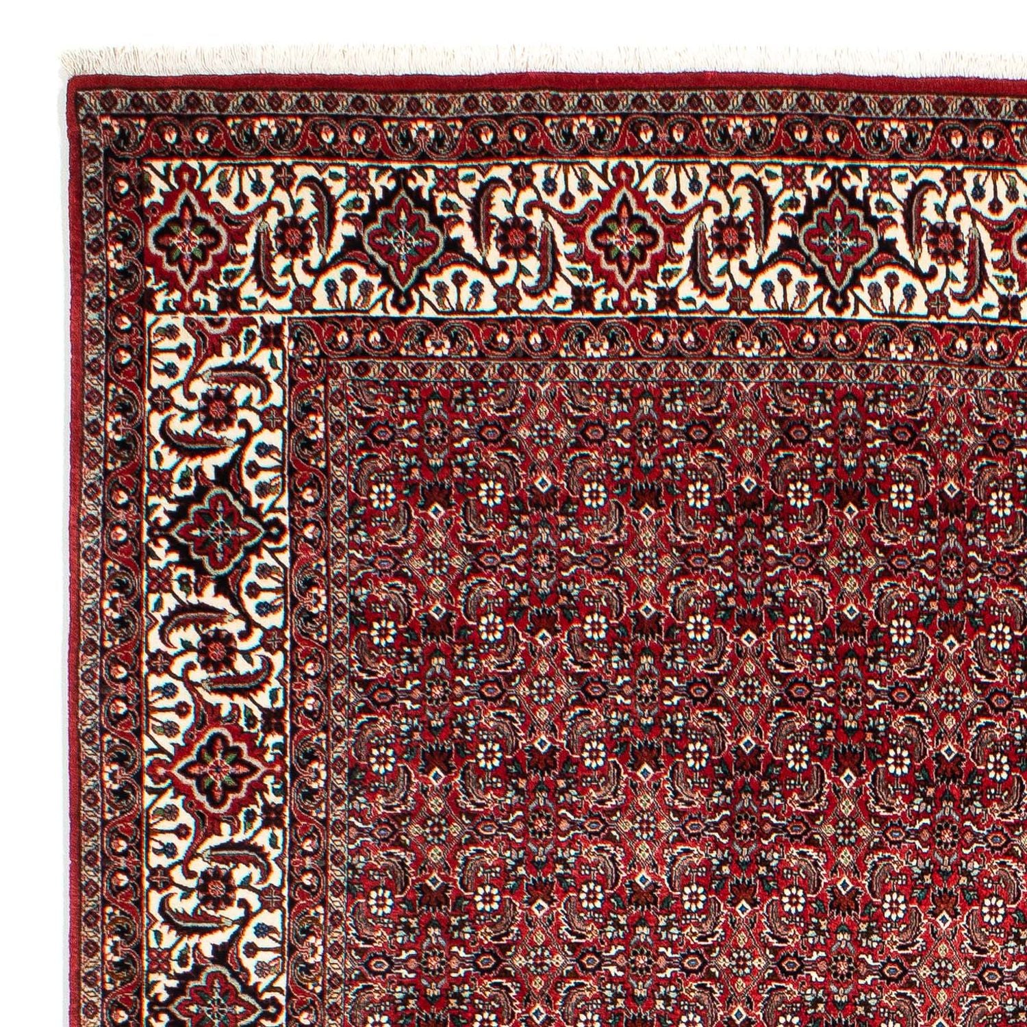 Tapis persan - Bidjar - 309 x 209 cm - rouge foncé