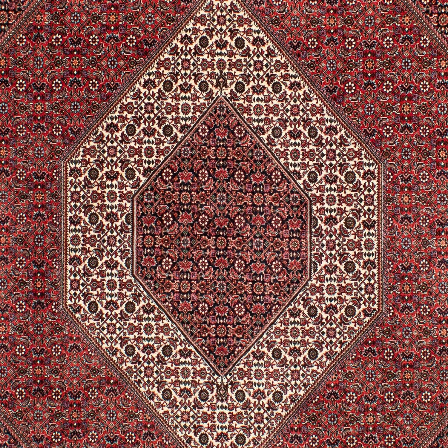 Tapis persan - Bidjar - 305 x 203 cm - rouge foncé
