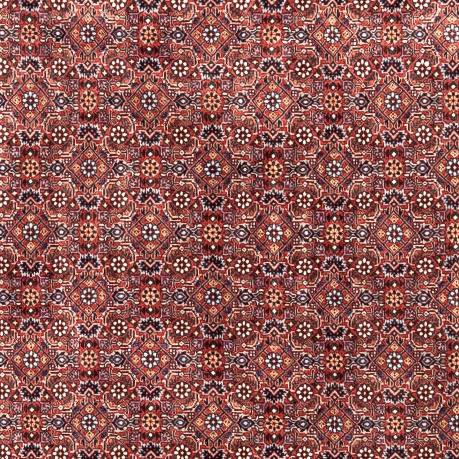 Tapis persan - Bidjar - 306 x 204 cm - rouge