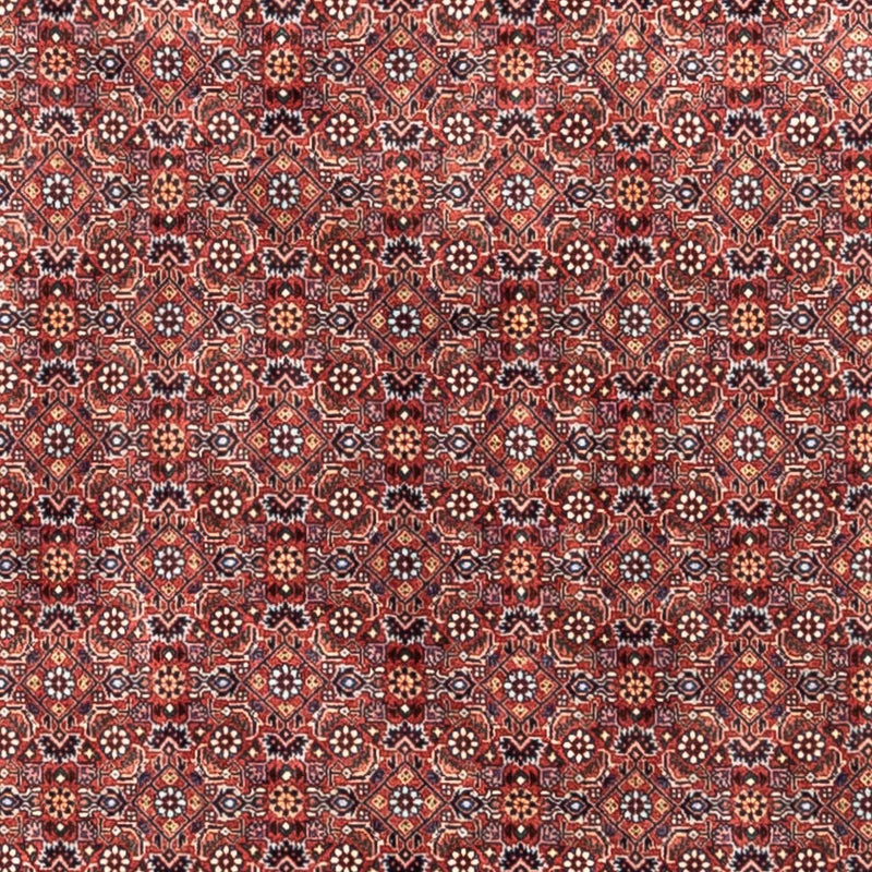 Tapis persan - Bidjar - 306 x 204 cm - rouge