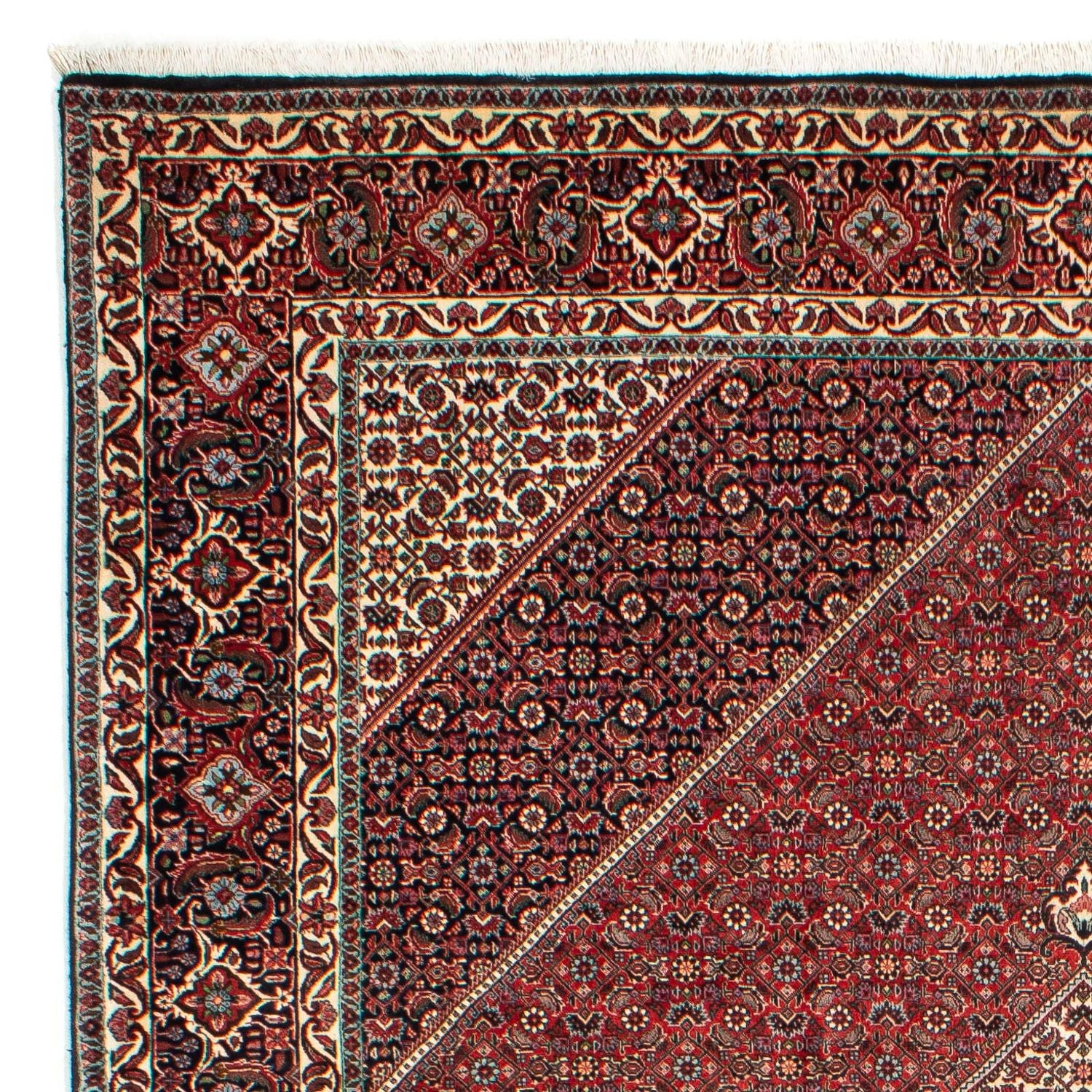 Perserteppich - Bidjar 311 x 205 cm