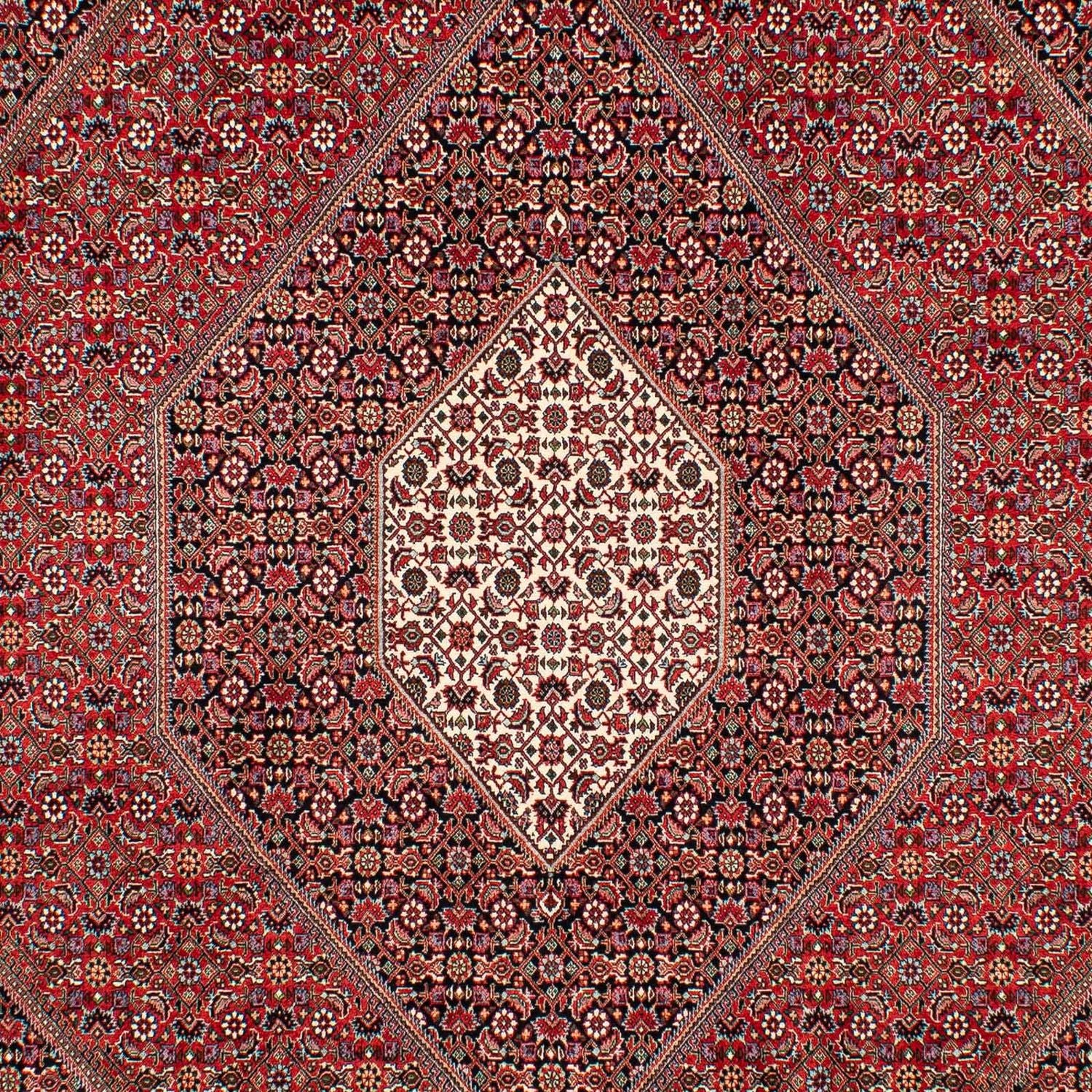Tapis persan - Bidjar - 307 x 205 cm - rouge foncé