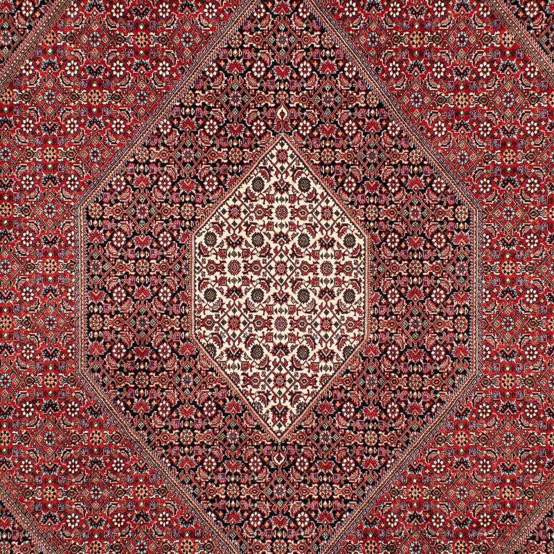 Tapis persan - Bidjar - 307 x 205 cm - rouge foncé
