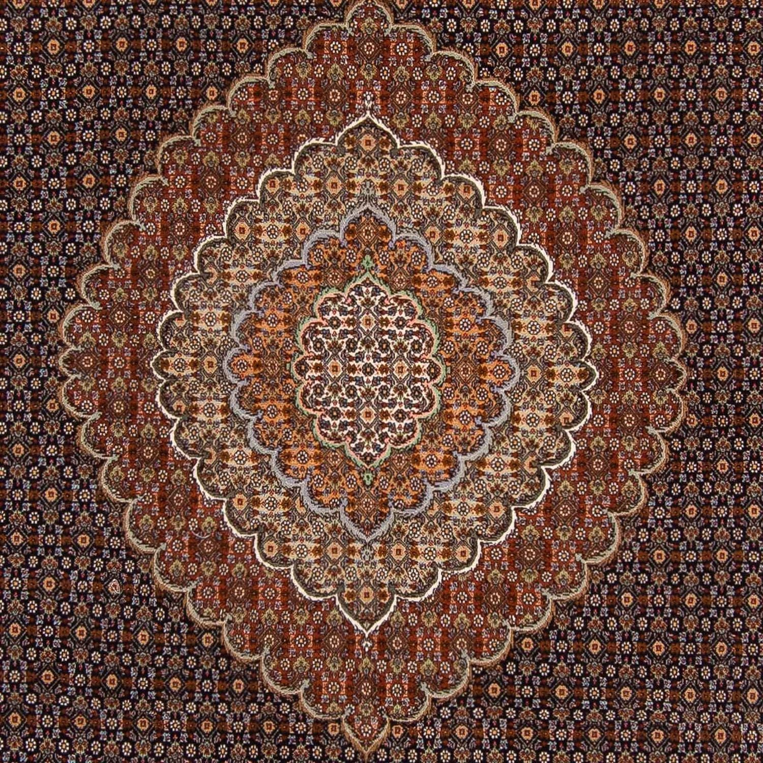 Tapis persan - Tabriz - 360 x 253 cm - marron foncé