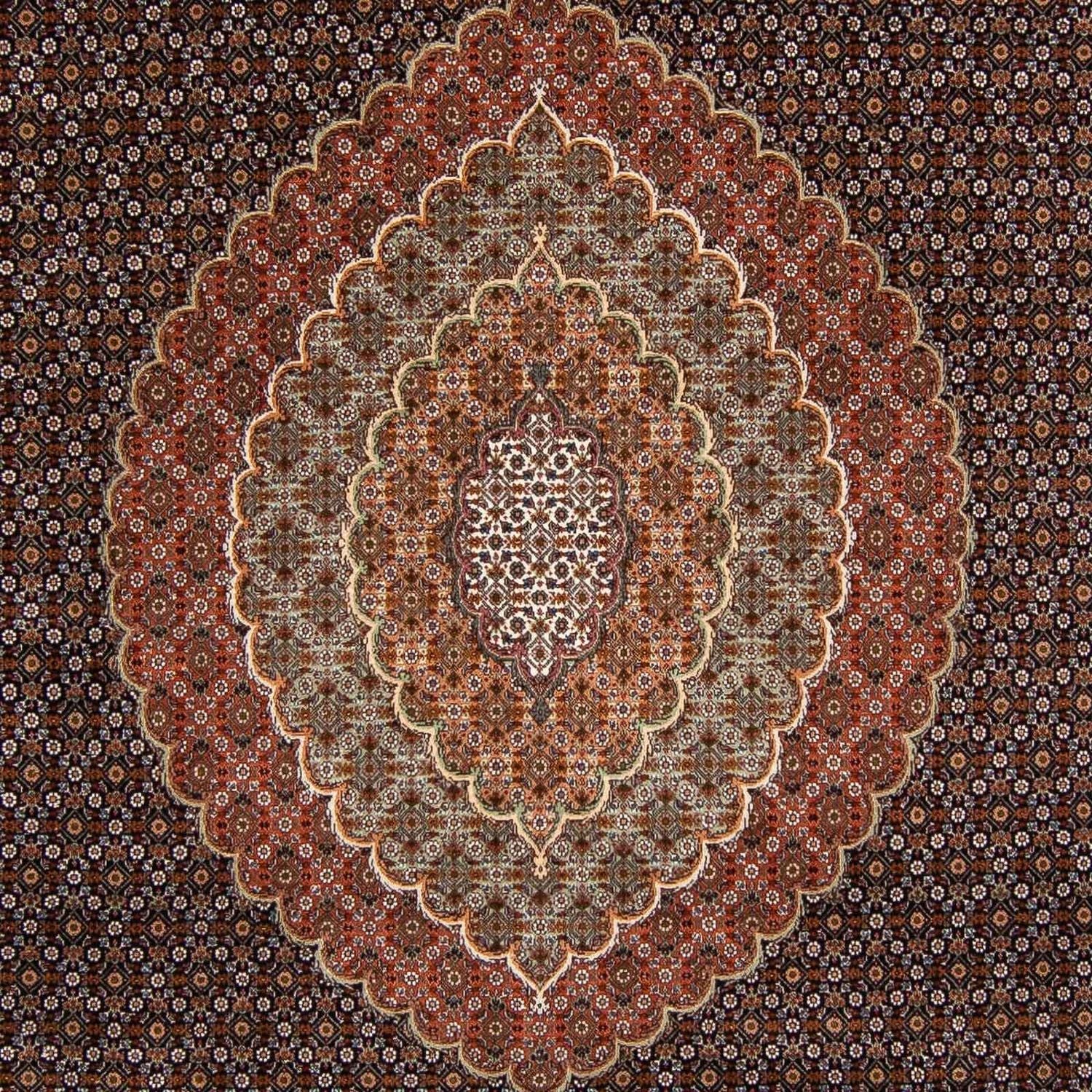 Tapis persan - Tabriz - 345 x 252 cm - marron