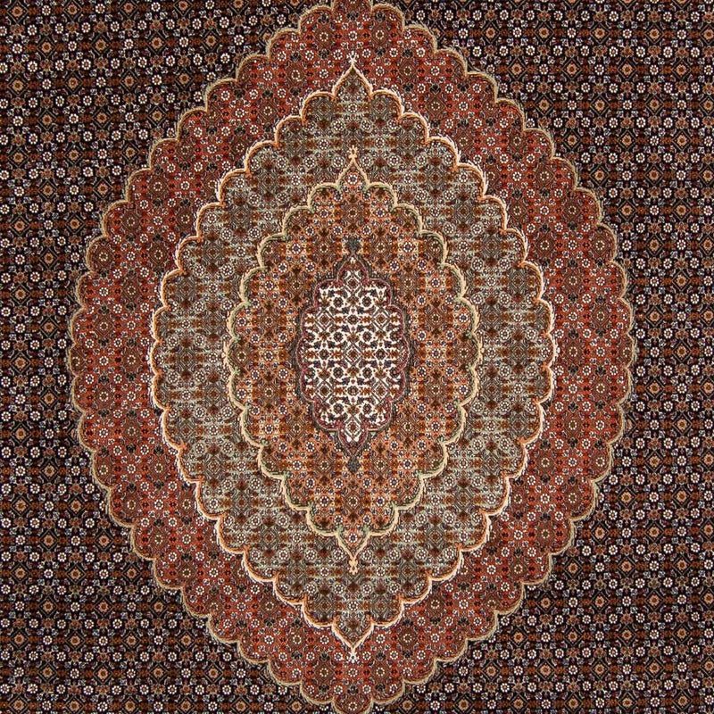 Tapis persan - Tabriz - 345 x 252 cm - marron