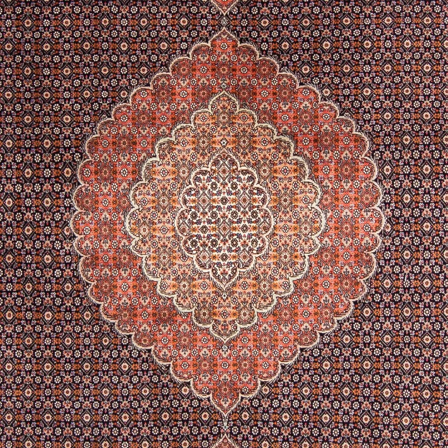 Tapis persan - Tabriz - 295 x 203 cm - bleu foncé