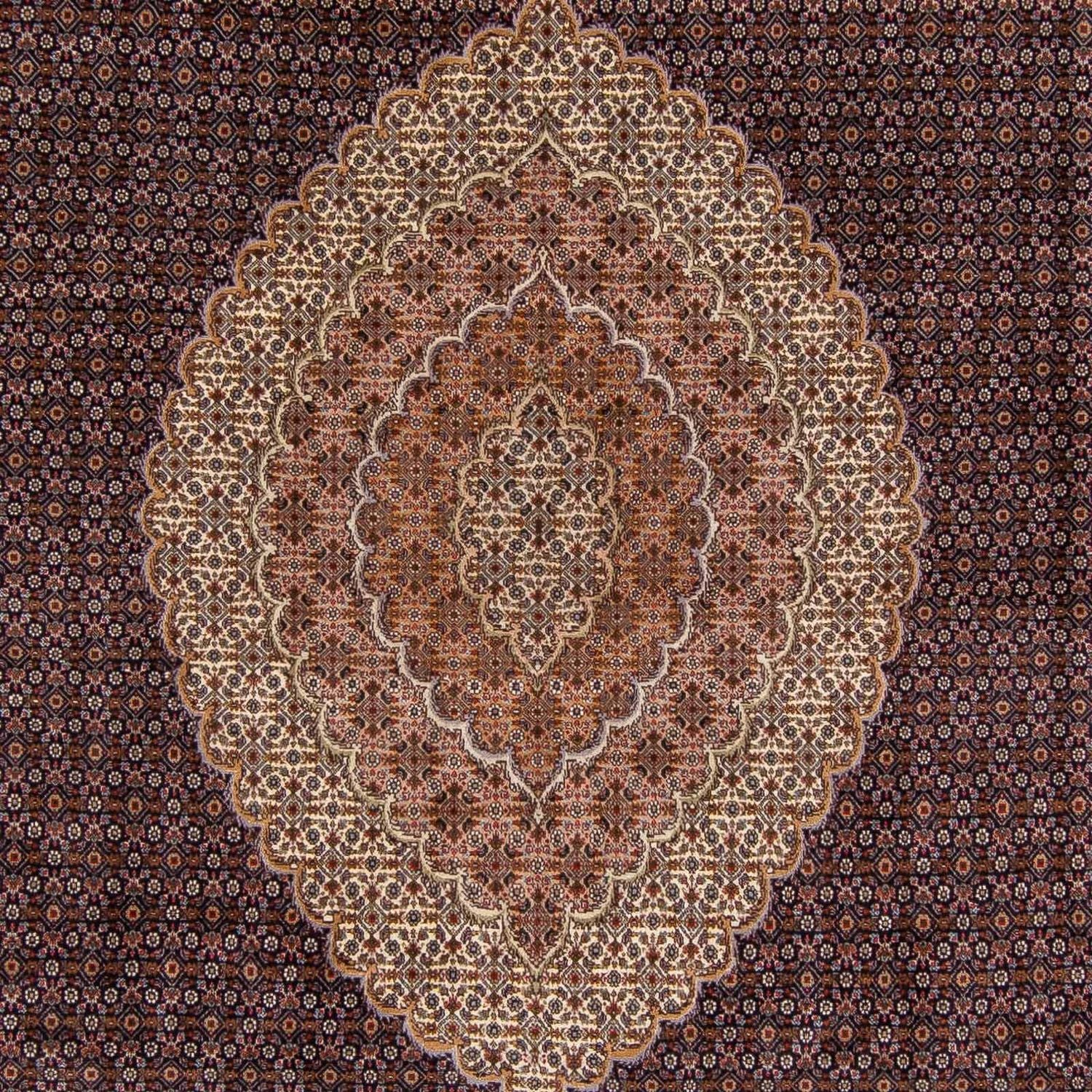 Tapis persan - Tabriz - 338 x 248 cm - marron clair
