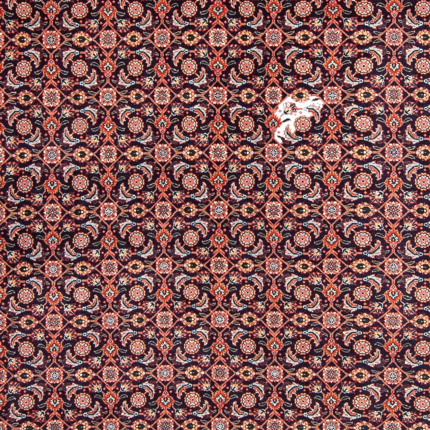 Tapis persan - Tabriz - 295 x 202 cm - bleu foncé