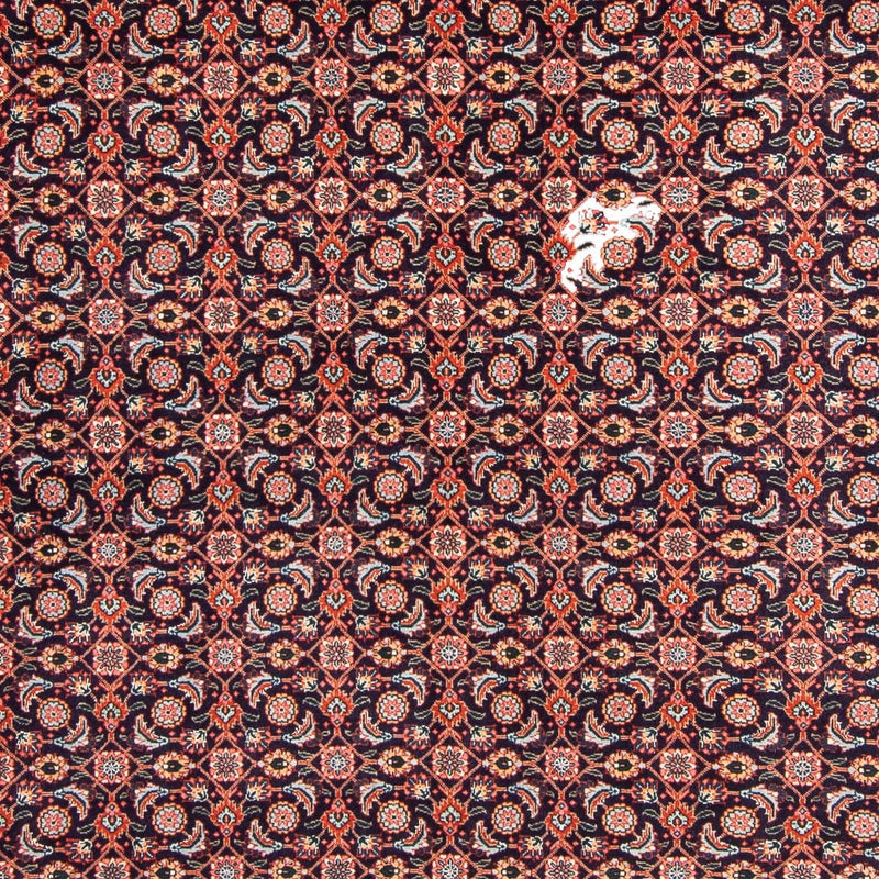 Tapis persan - Tabriz - 295 x 202 cm - bleu foncé