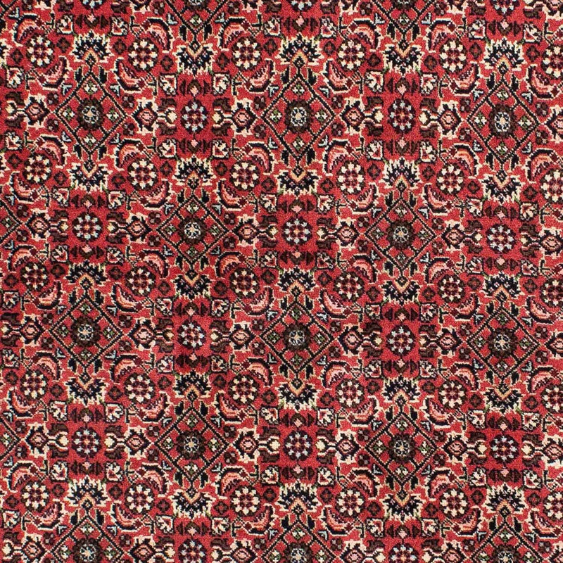Tapis persan - Bidjar - 208 x 139 cm - rouge