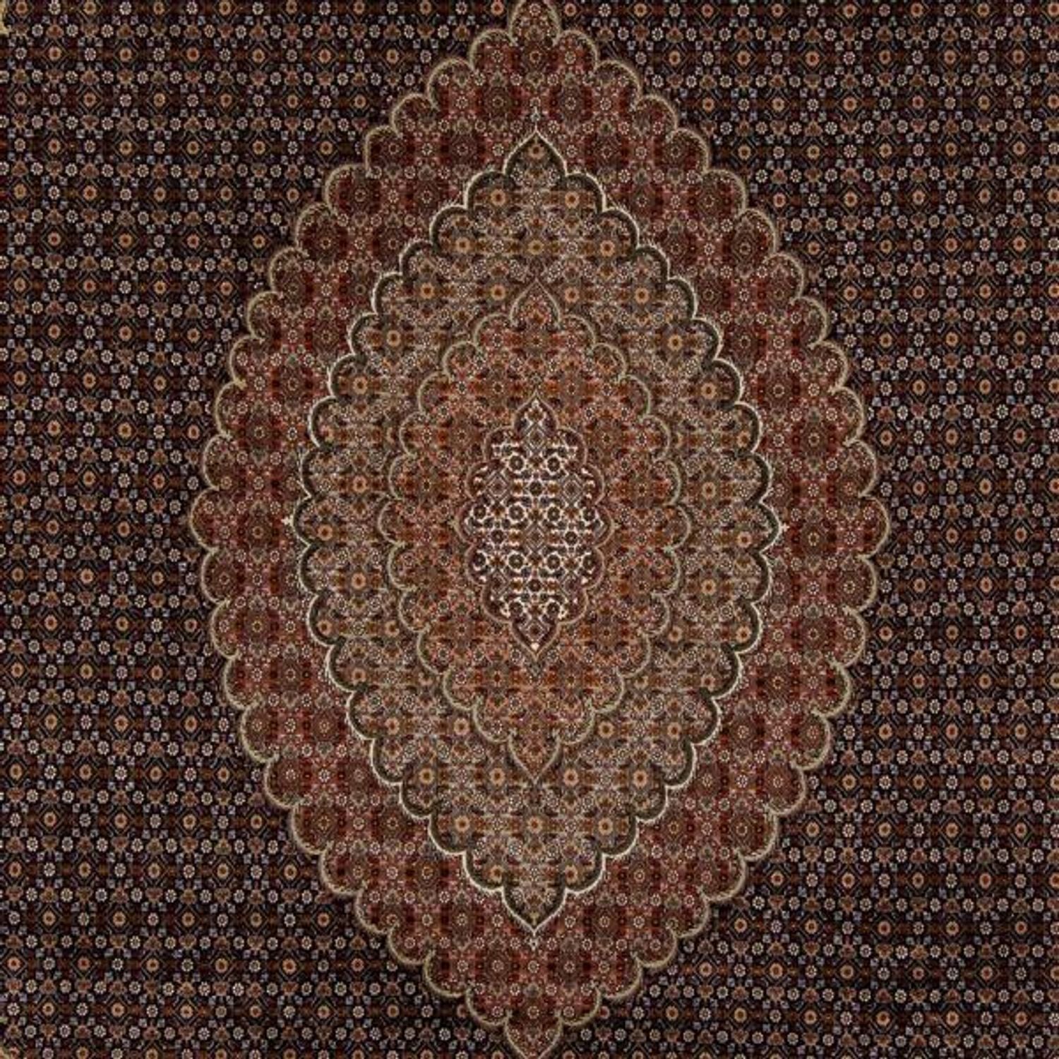 Tapis persan - Tabriz - 346 x 252 cm - marron