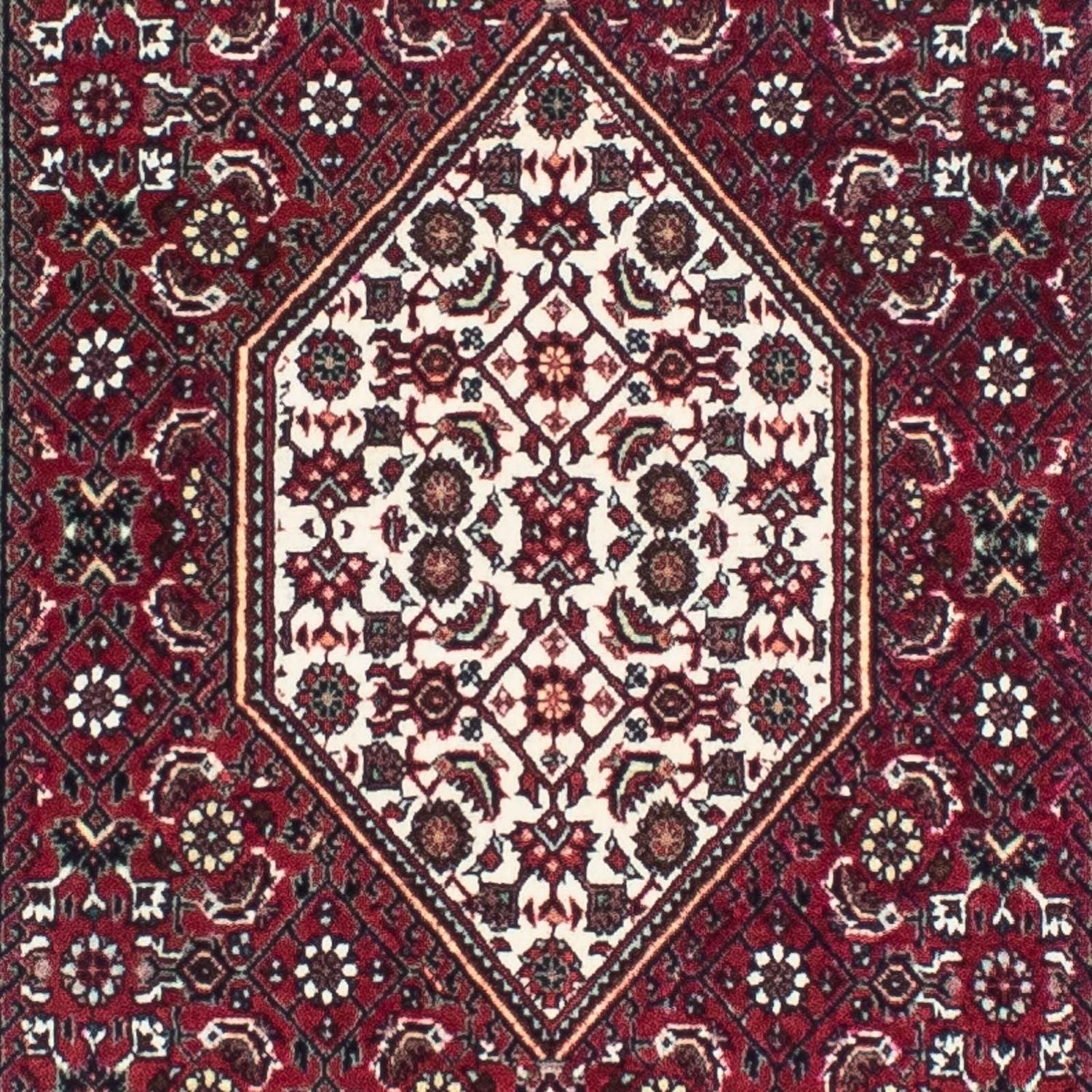 Tapis de couloir Tapis persan - Bidjar - 248 x 73 cm - rouge foncé