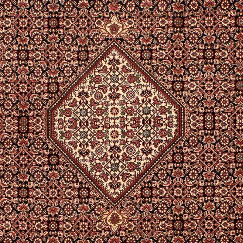 Tapis persan - Bidjar - 296 x 198 cm - marron