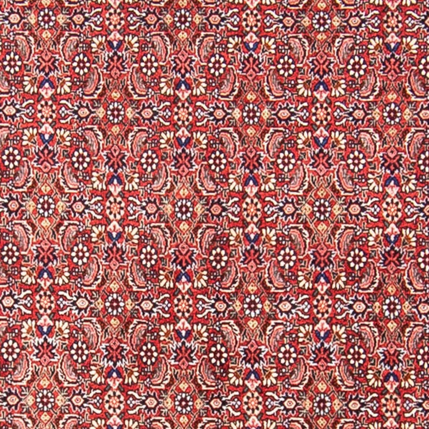 Tapis persan - Bidjar - 307 x 248 cm - rouge clair