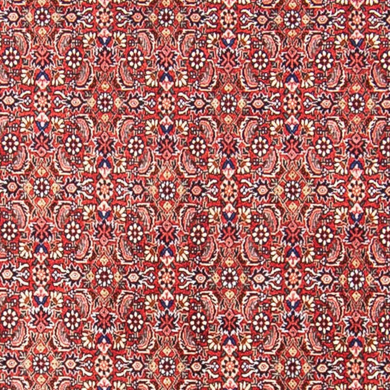 Tapis persan - Bidjar - 307 x 248 cm - rouge clair