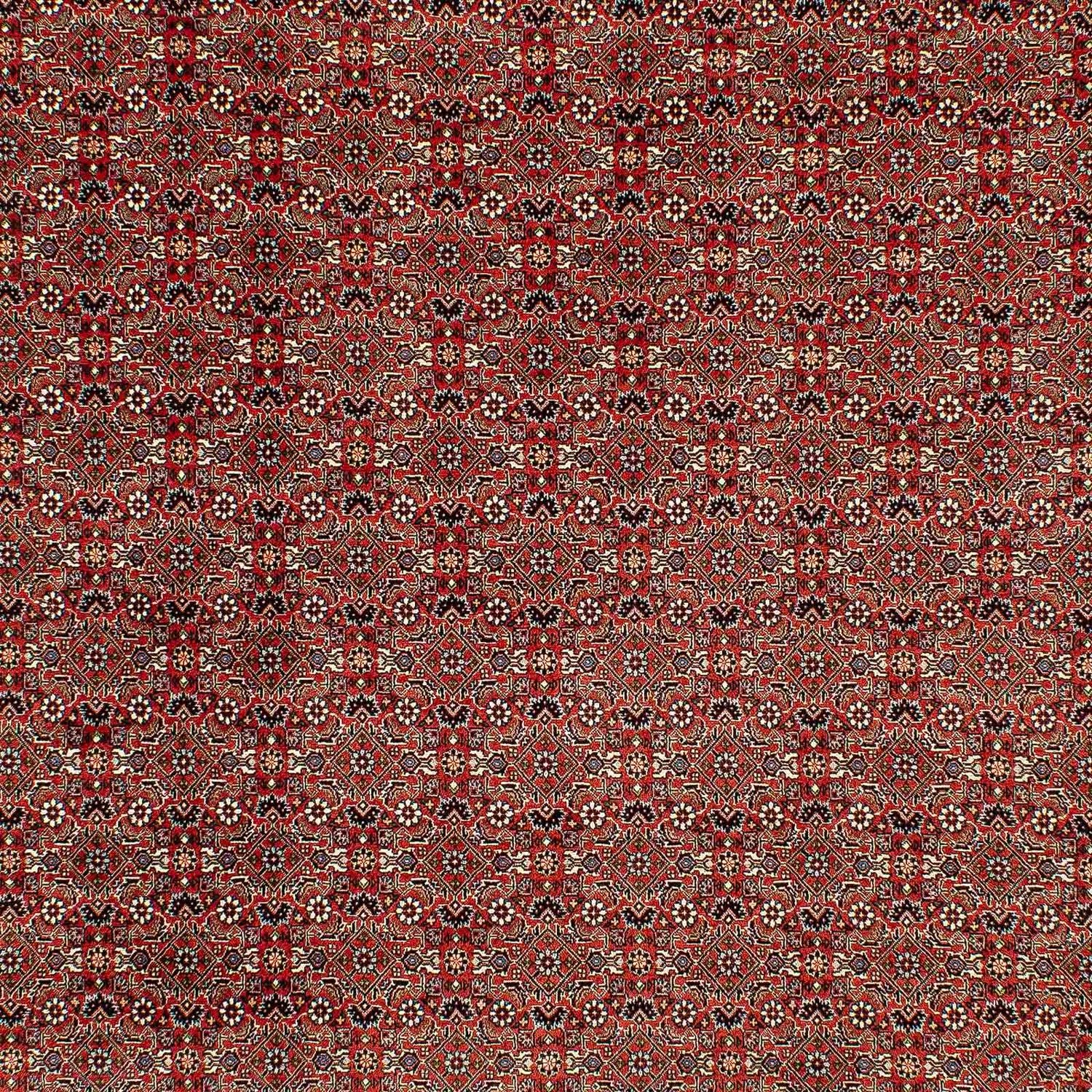 Tapis persan - Bidjar - 300 x 206 cm - rouge clair