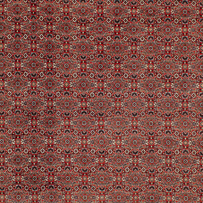 Tapis persan - Bidjar - 300 x 206 cm - rouge clair