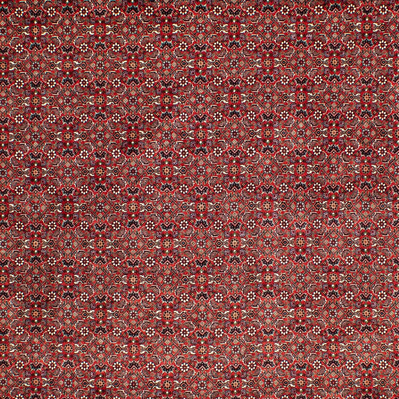 Tapis persan - Bidjar - 302 x 210 cm - rouge foncé
