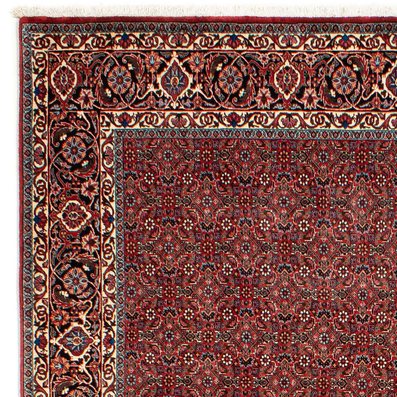 Perserteppich - Bidjar 299 x 202 cm