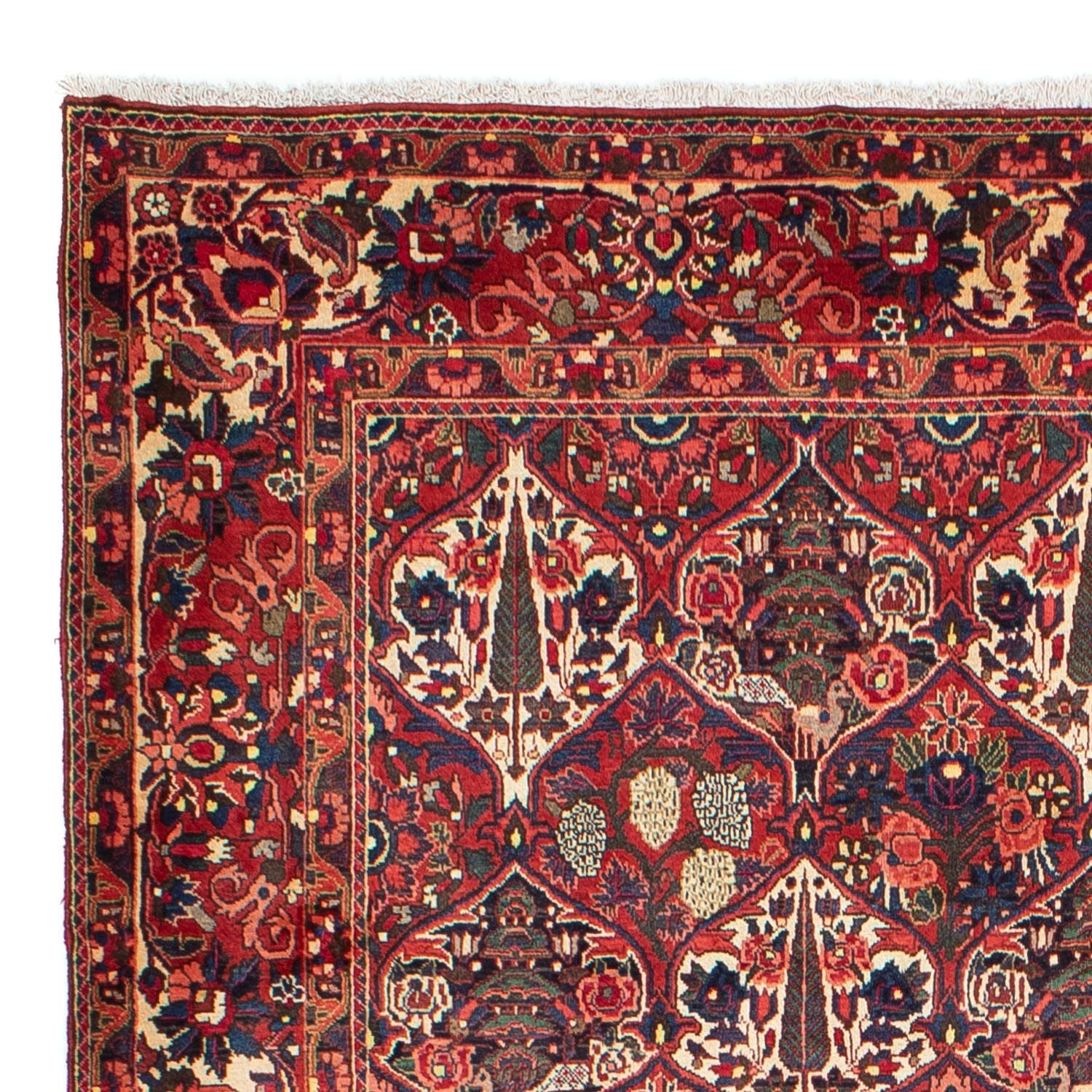 Tapis persan - Nomadic - 323 x 210 cm - rouge foncé