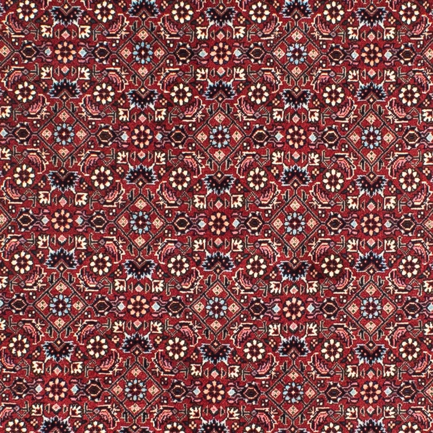 Tapis persan - Bidjar ronde  - 155 x 155 cm - rouge foncé