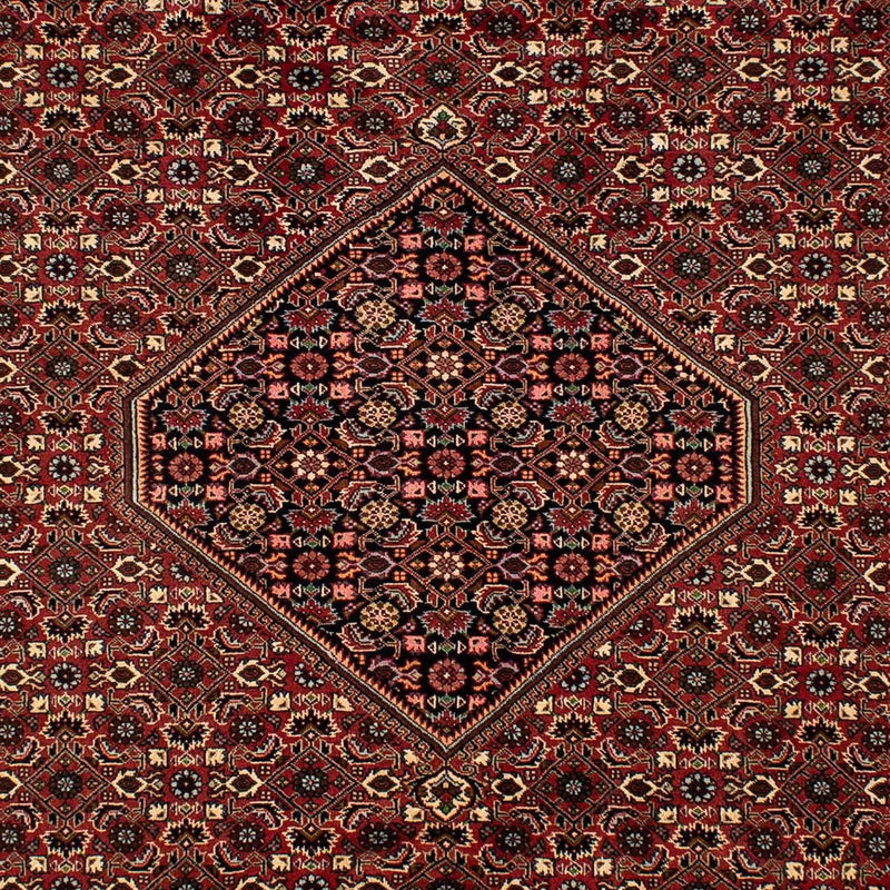Tapis persan - Bidjar - 297 x 202 cm - rouge foncé