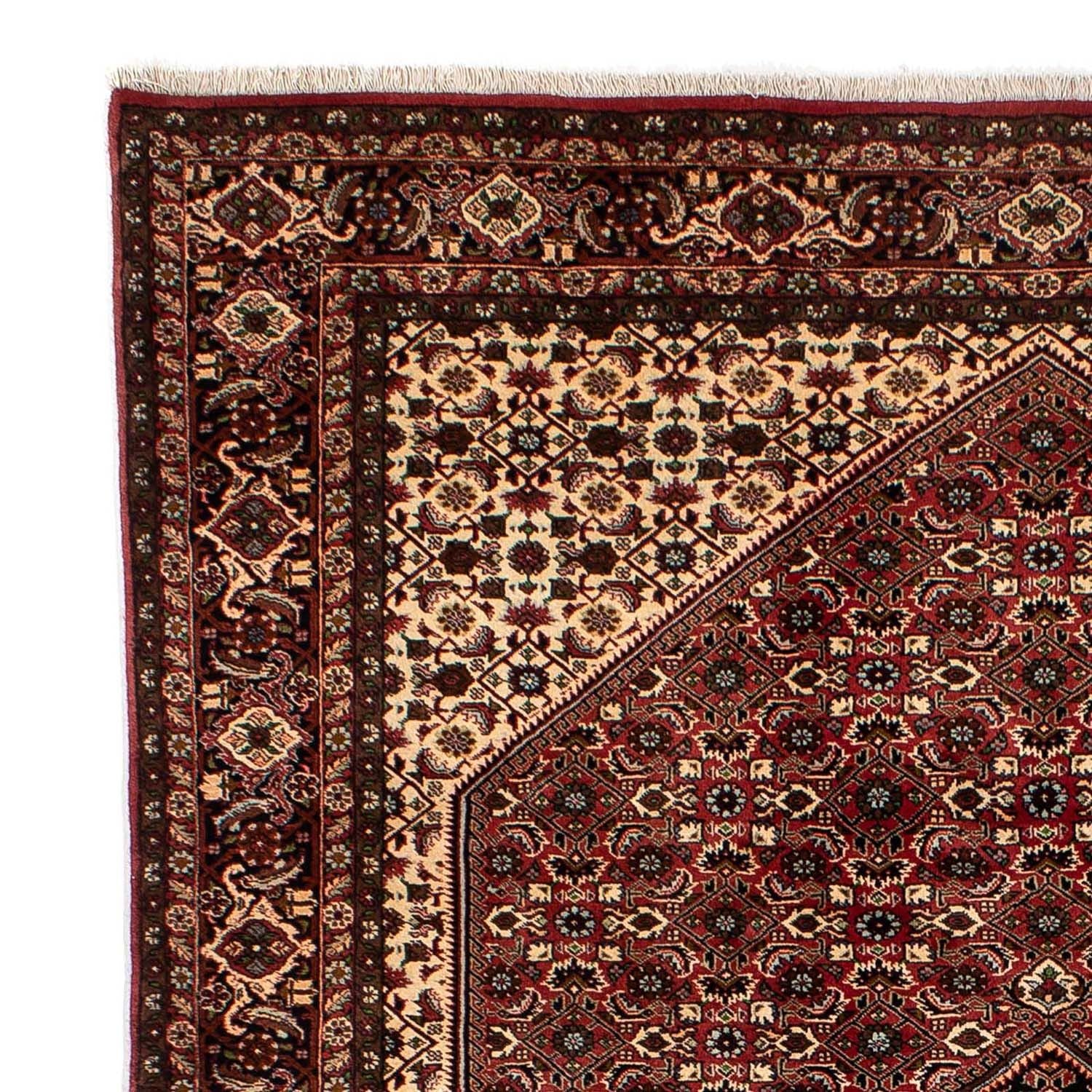 Tapis persan - Bidjar - 297 x 202 cm - rouge foncé