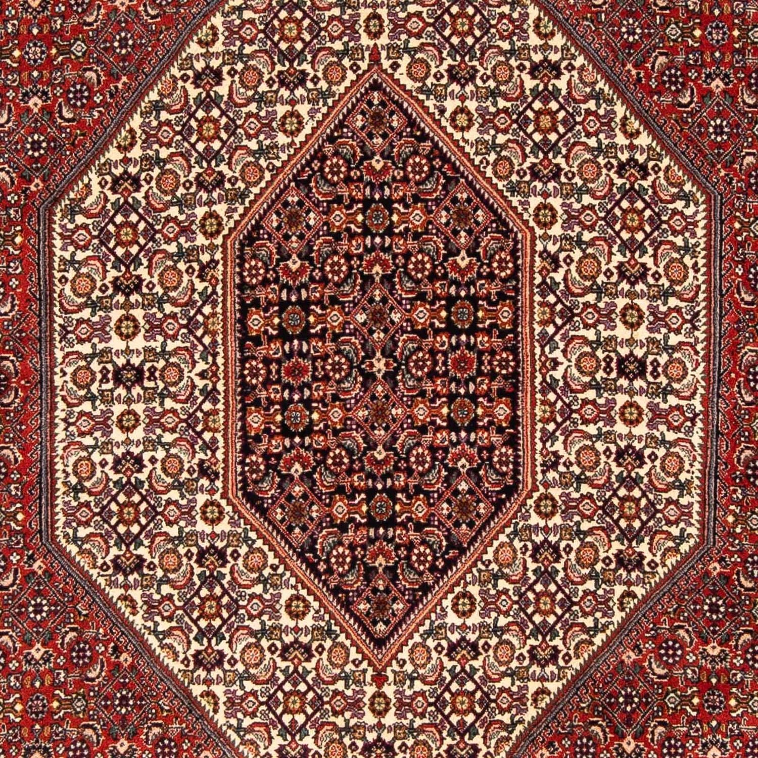 Perserteppich - Bidjar 244 x 153 cm