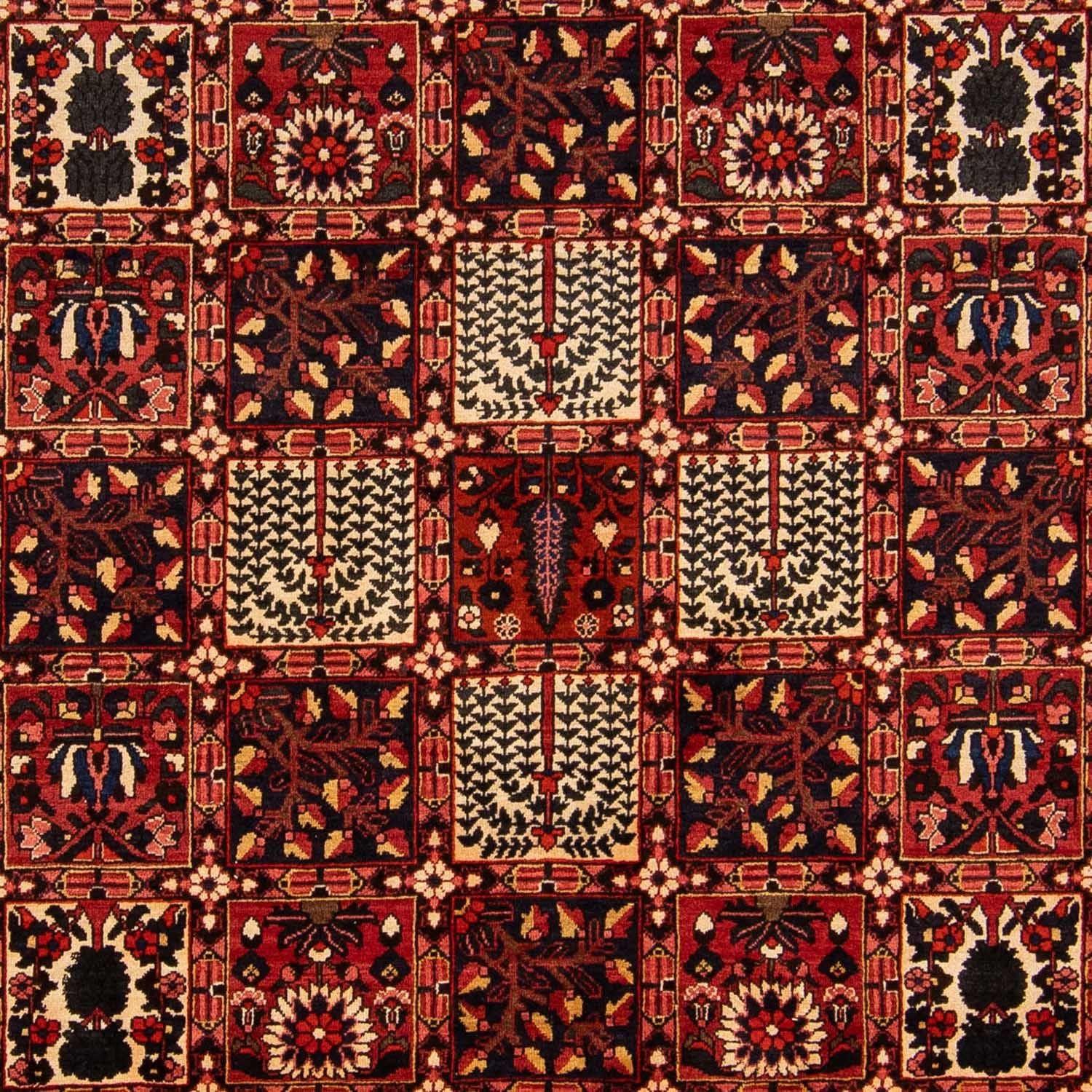 Perserteppich - Nomadic 365 x 265 cm
