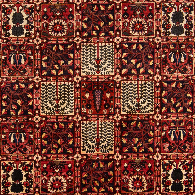 Perserteppich - Nomadic 365 x 265 cm
