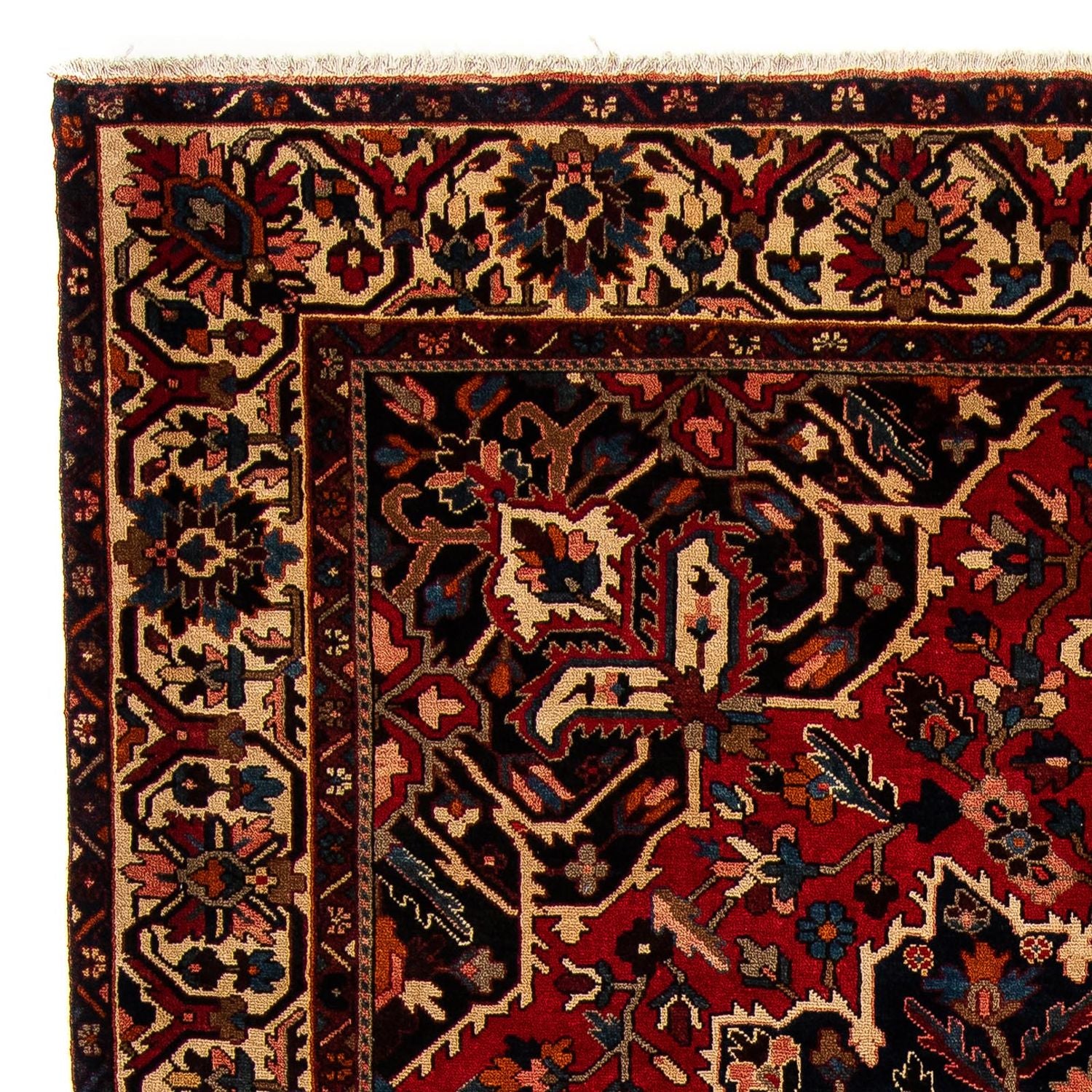 Tapis persan - Nomadic - 364 x 312 cm - rouge foncé