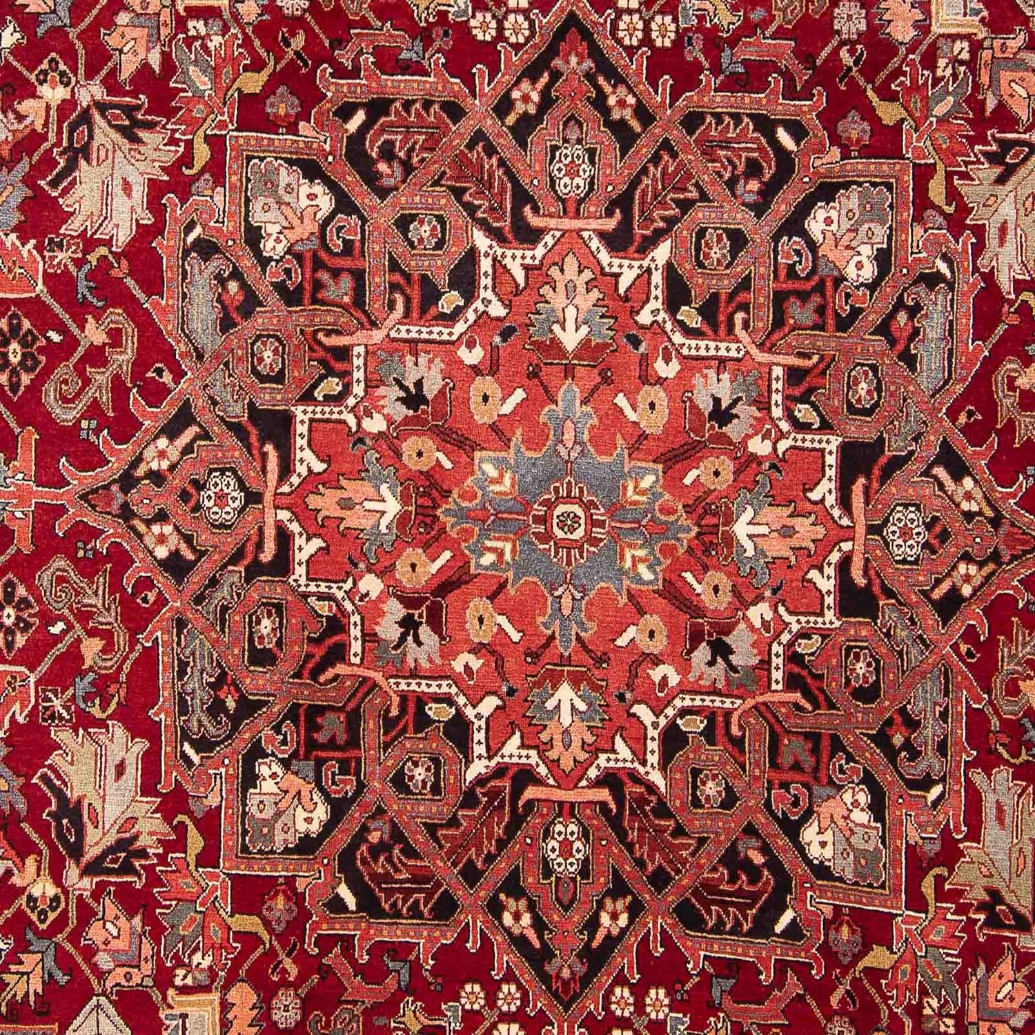 Tapis persan - Nomadic - 334 x 265 cm - rouge foncé