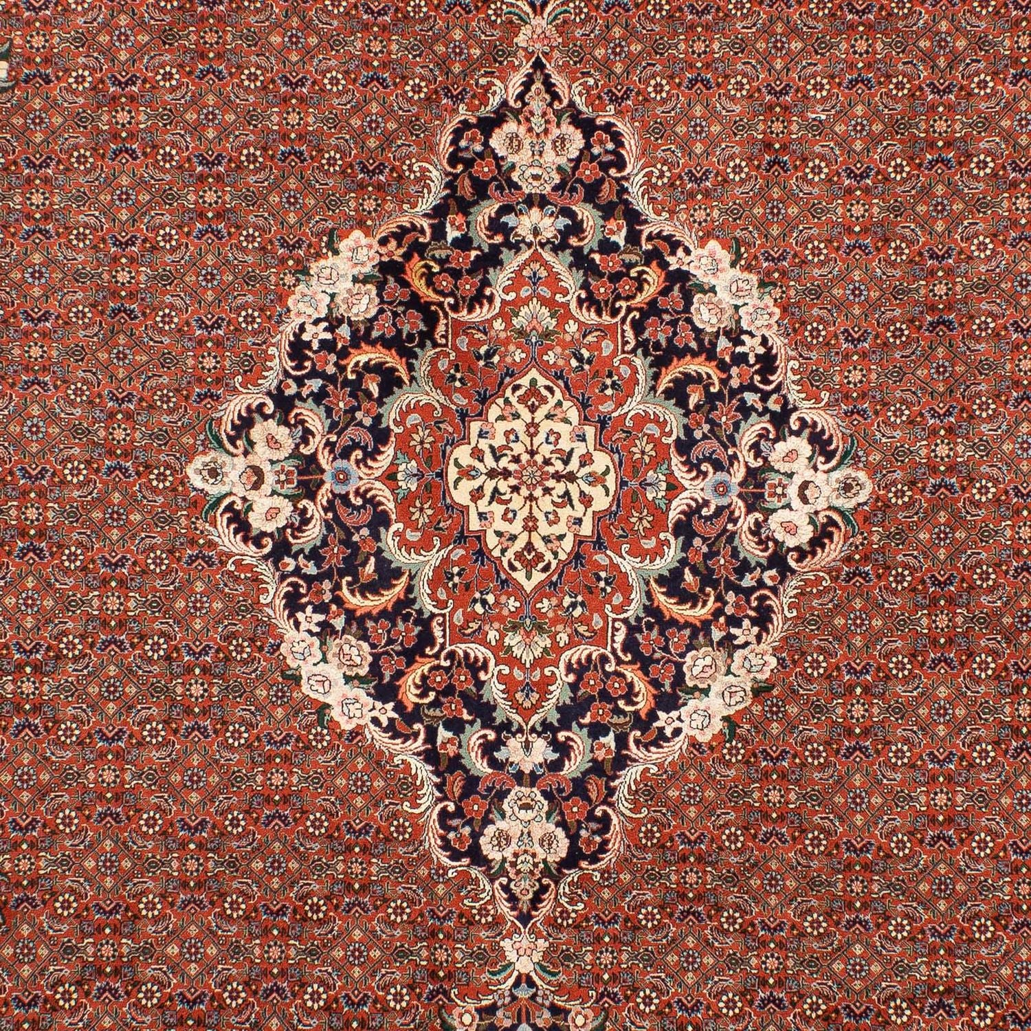 Tapis persan - Bidjar - 288 x 206 cm - rouille
