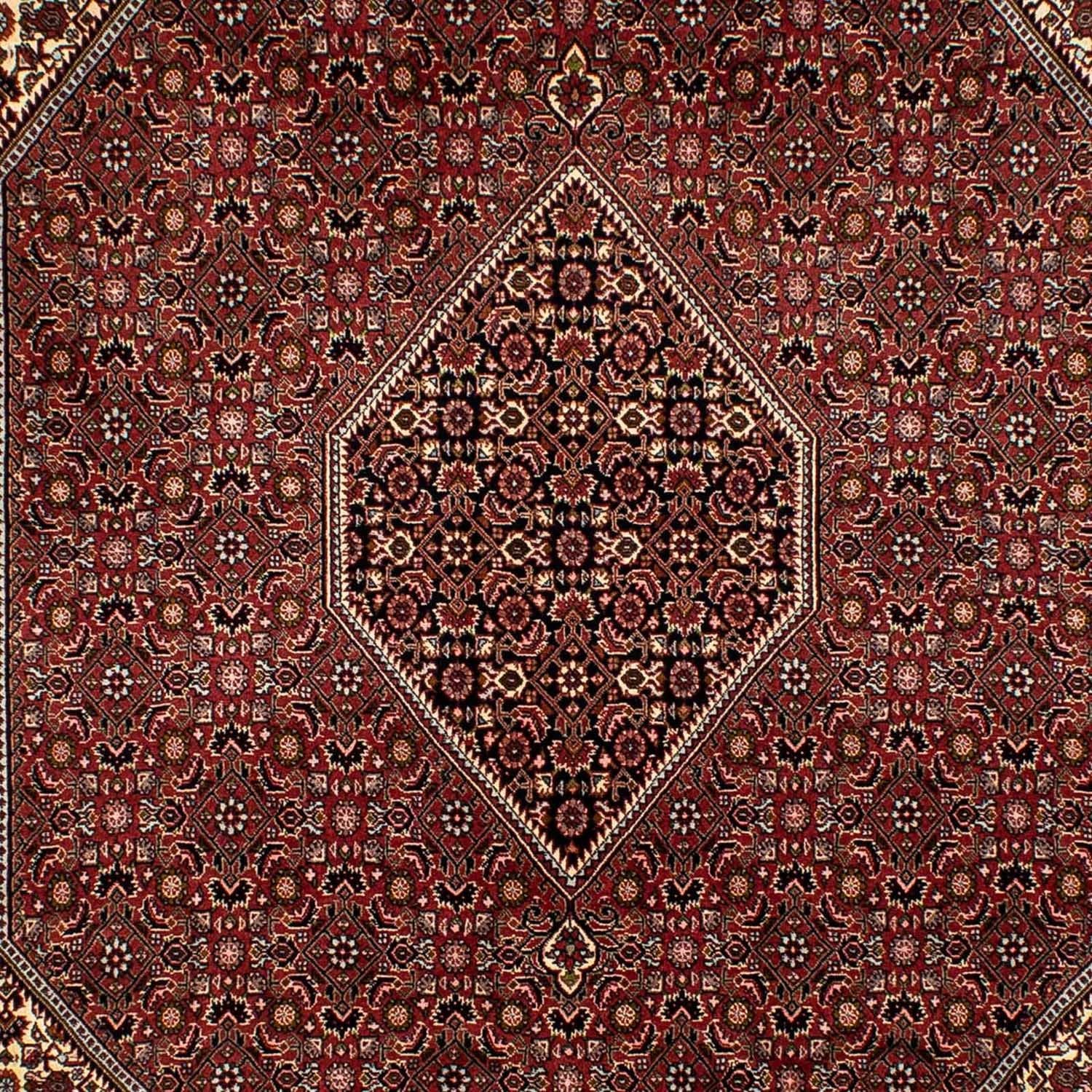 Tapis persan - Bidjar - 293 x 198 cm - marron