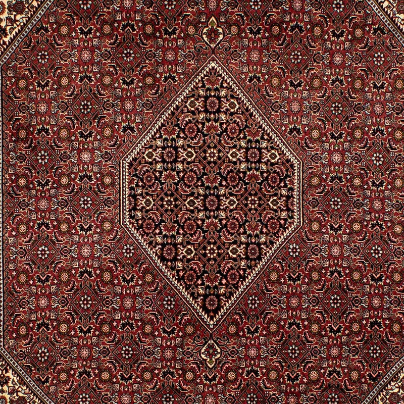 Tapis persan - Bidjar - 293 x 198 cm - marron