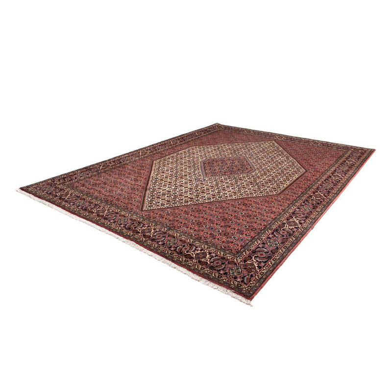 Tapis persan - Bidjar - 343 x 252 cm - rouge foncé