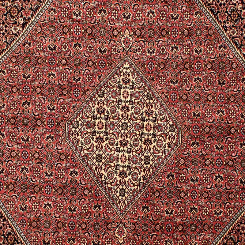 Tapis persan - Bidjar - 293 x 205 cm - rouge clair